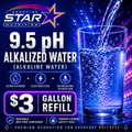 Alkalized Alkaline Water 9.5pH 1 Gallon (In-Store Purchase Only)